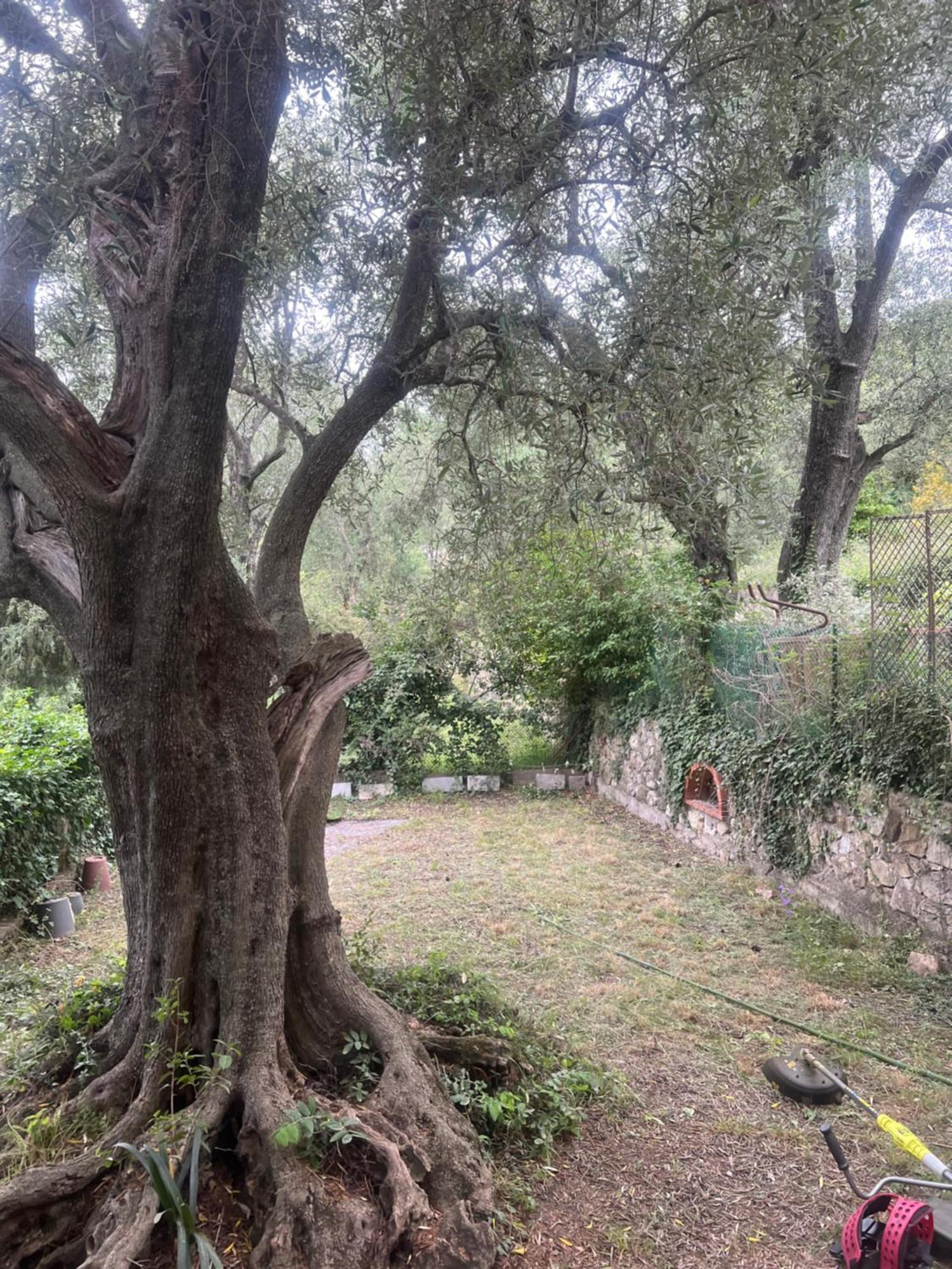 Bas De Villa Vue Mer Eze Village Exteriér fotografie