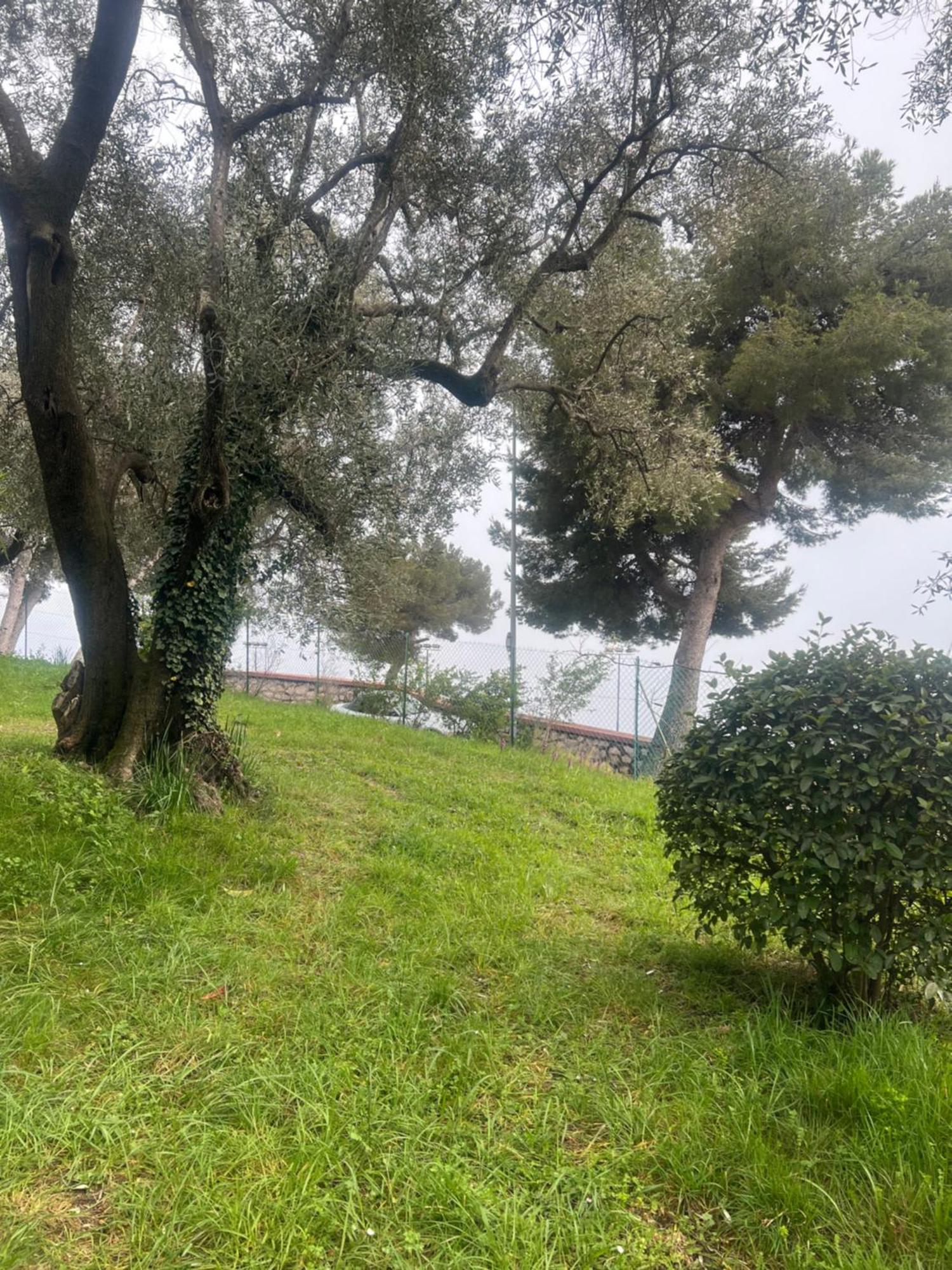 Bas De Villa Vue Mer Eze Village Exteriér fotografie