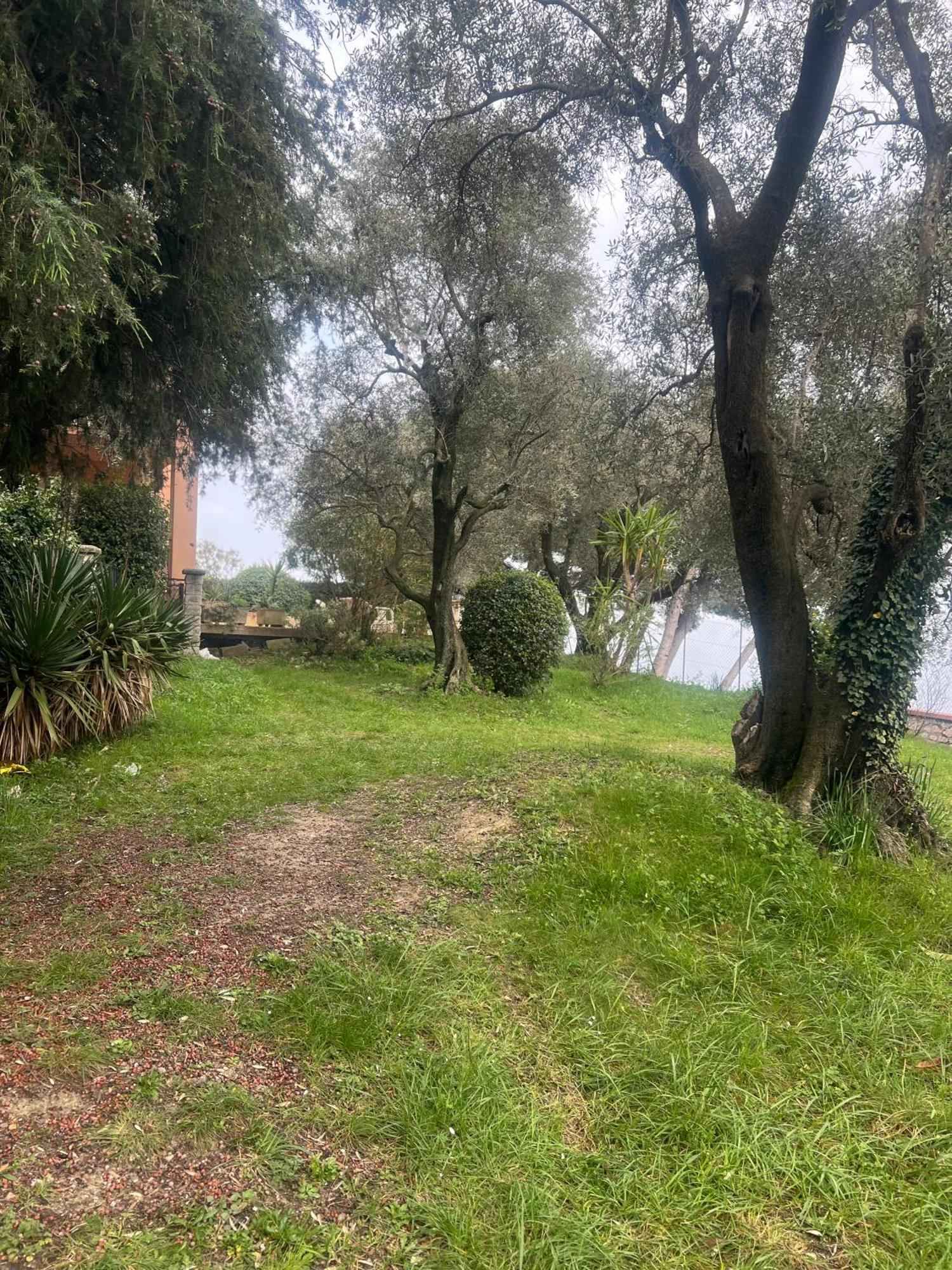 Bas De Villa Vue Mer Eze Village Exteriér fotografie